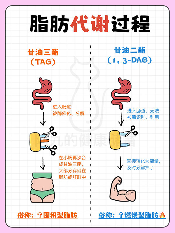 關于我們-無錫冠亞恒溫制冷